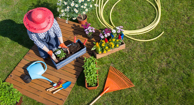 depositphotos_208076956-stock-photo-woman-planting-colorful-flowers-garden